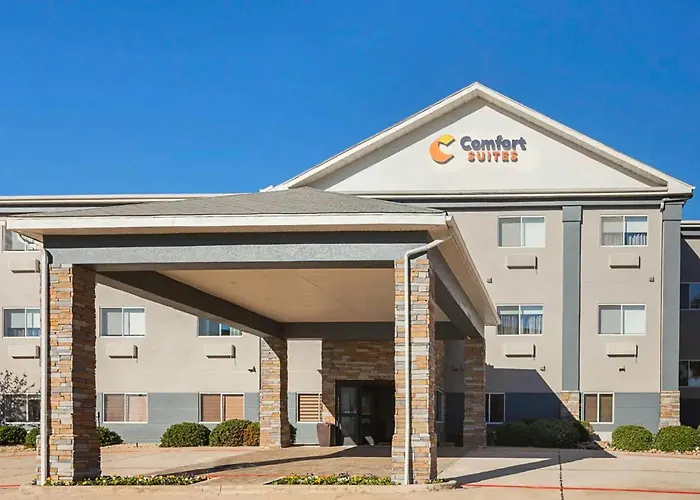 Hotel: Comfort Suites Lewisville - Dallas